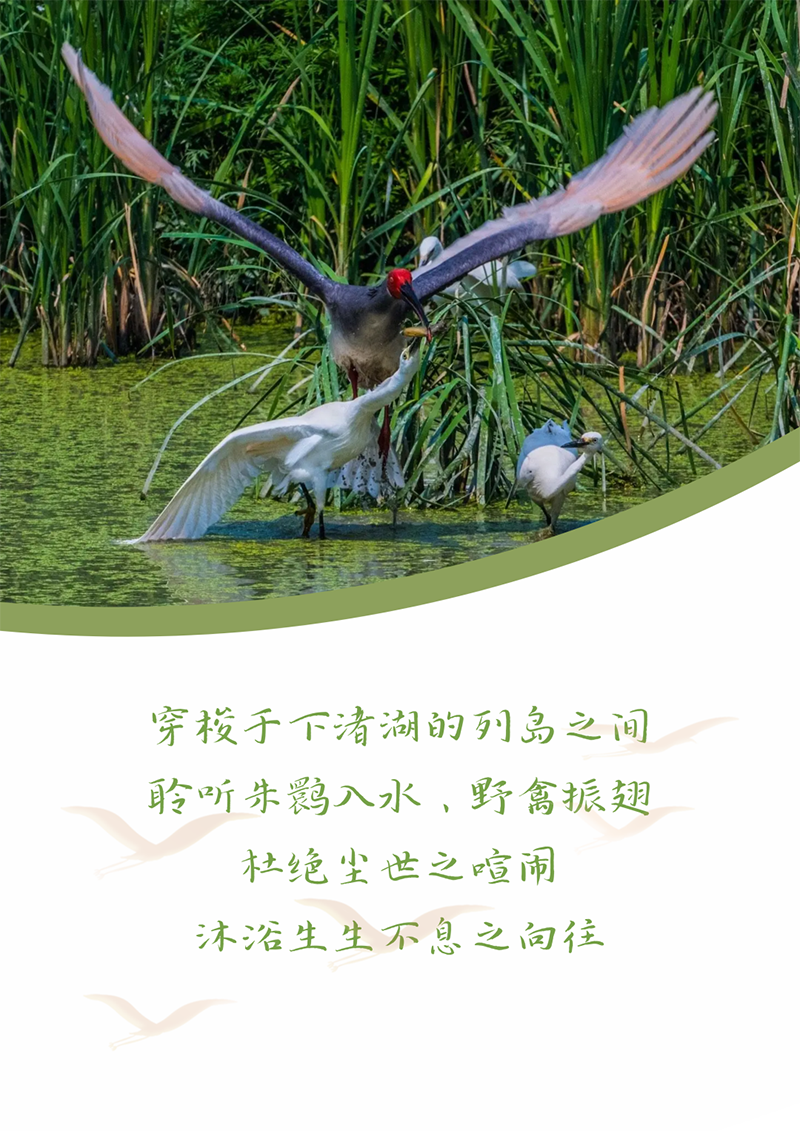 心心念廿 相伴304am永利集团 | 与德清相约 贺廿载诞辰